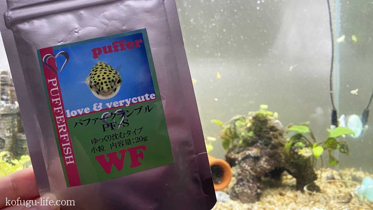 Junクリルグラニュールに変わるエサはどれ 類似の顆粒餌6種をアベニーパファー にあげた結果報告 もう売ってない廃盤の代用品にお悩みの方必見 コフグライフ 水槽のある暮らし大百科
